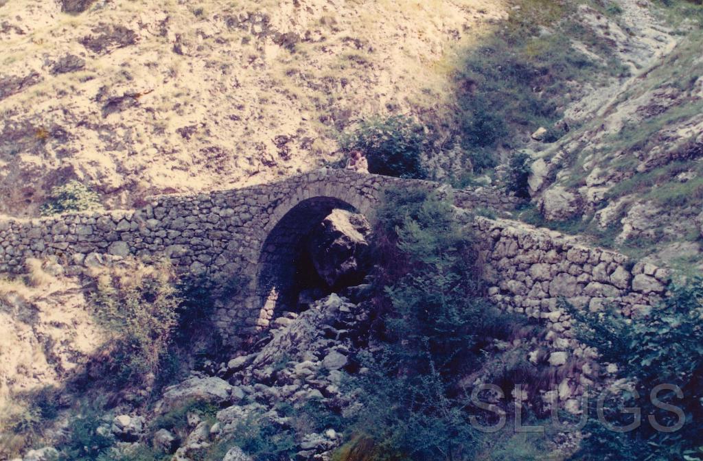 Bridge Near Bulnes Village.JPG